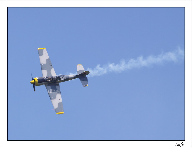 2009   05   Ferte Alais   039